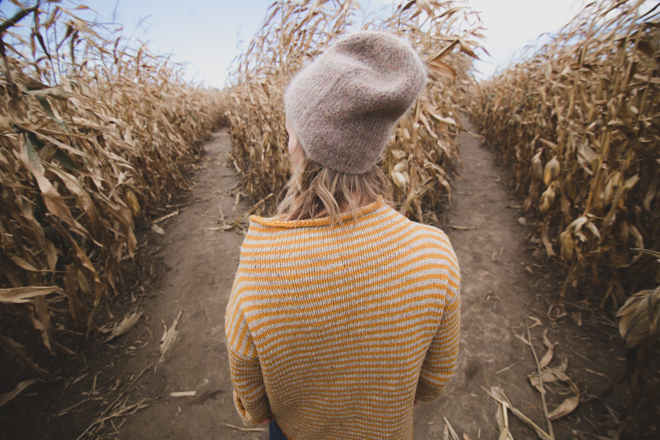 woman in front of two paths of wheat